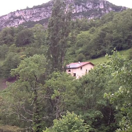 Studio En Pleine Nature Choranche Екстериор снимка